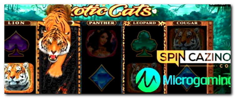 395% casino match bonus at Dunder Casino
