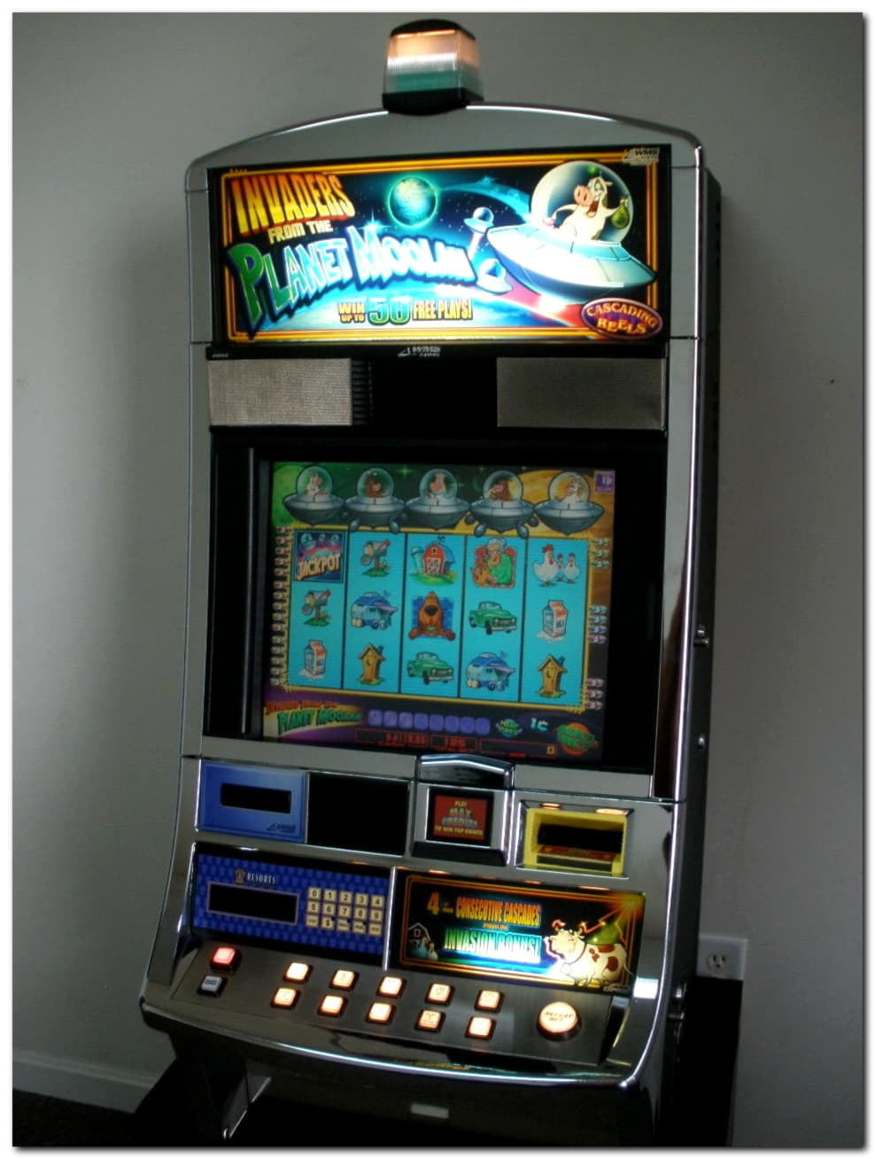$1975 No deposit bonus at Casino Action