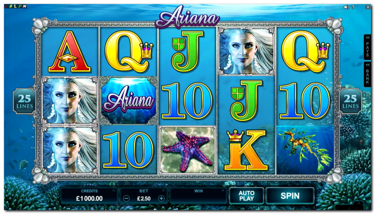 €570 Casino Tournament at Challenge Casino