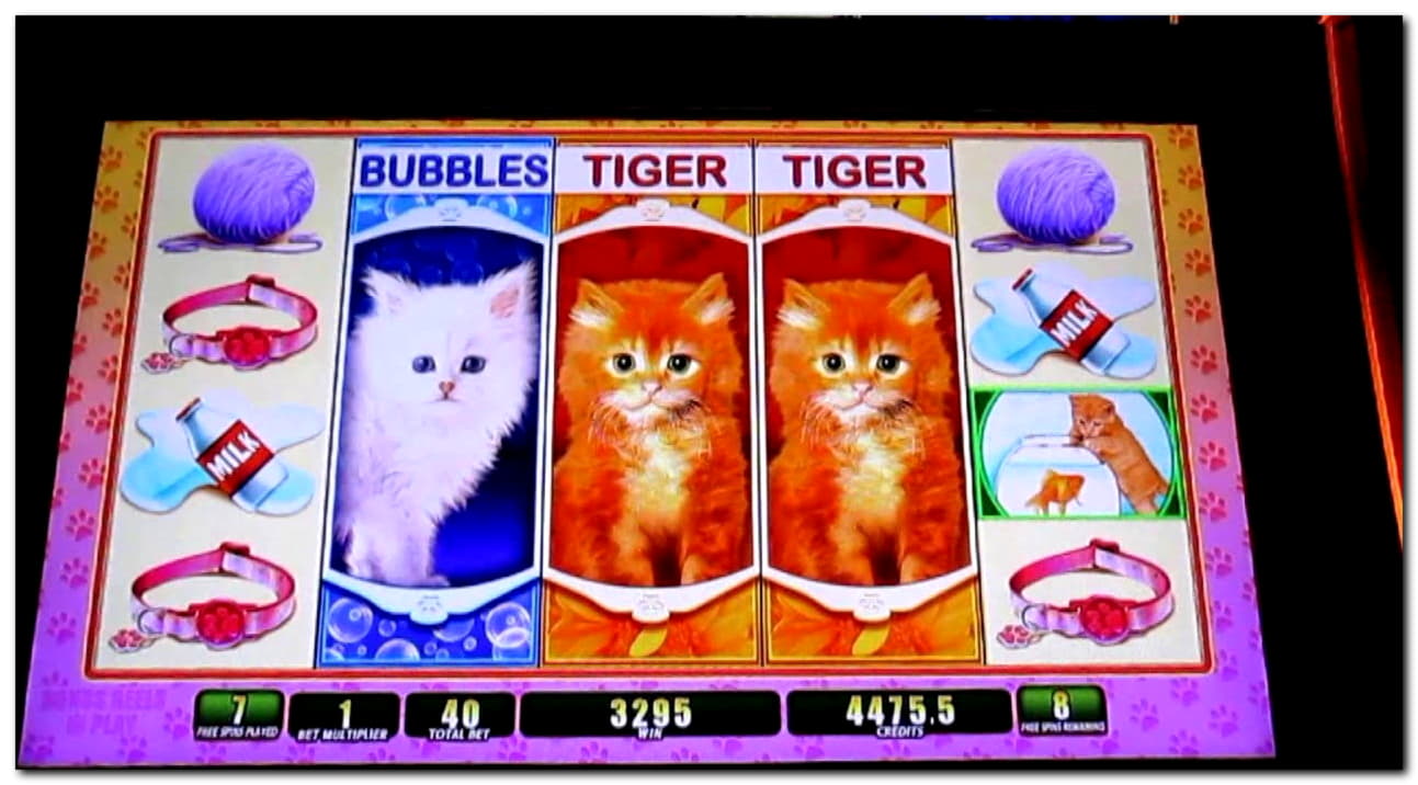 510% Match bonus at Miamidice Casino