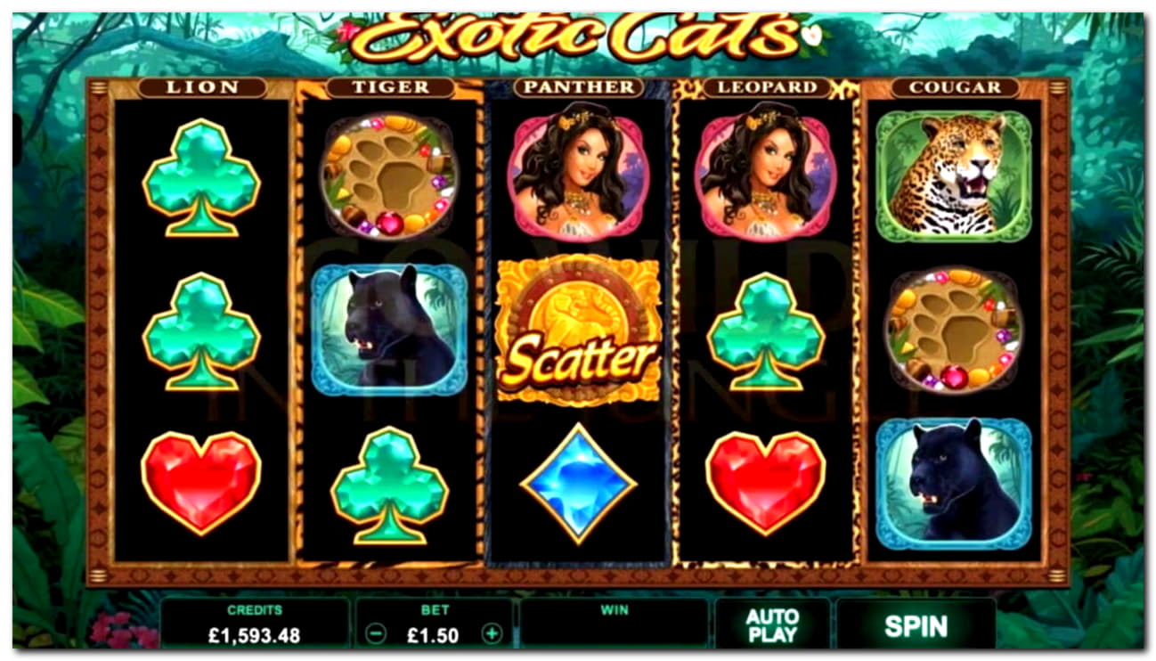 765% Match Bonus Casino at Challenge Casino
