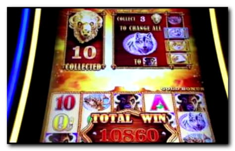 $500 NO DEPOSIT CASINO BONUS at Dunder Casino