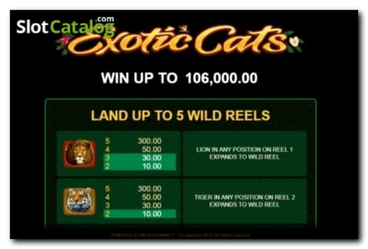 40 free spins no deposit at Yes Casino 
