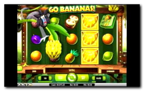 $105 FREE CASINO CHIP at Dafa Bet Casino
