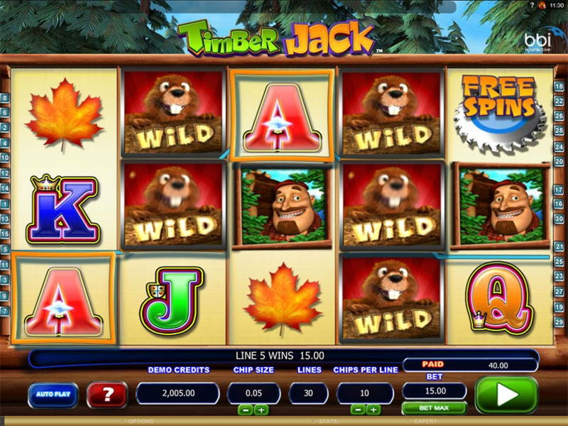 EUR 335 Daily freeroll slot tournament at BranGo Casino