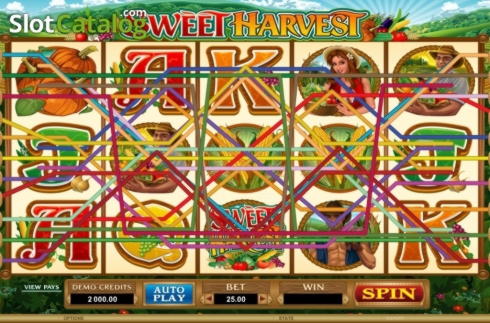 230% Best Signup Bonus Casino at Dunder Casino
