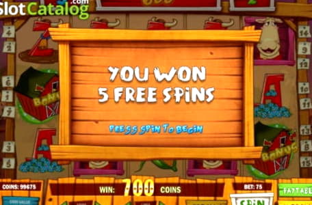 510% First deposit bonus at BranGo Casino
