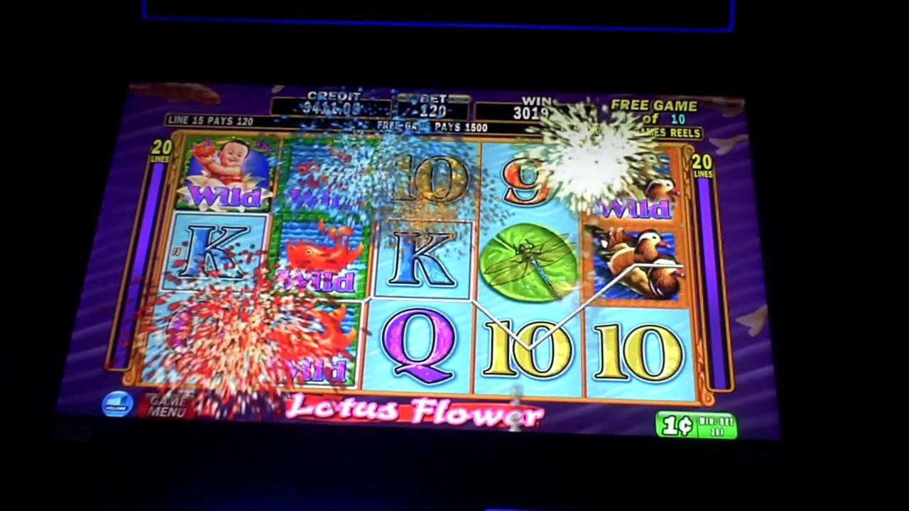 230 FREE SPINS at Casino Share