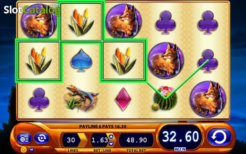 ﻿$1240 No deposit casino bonus at Casino Luck