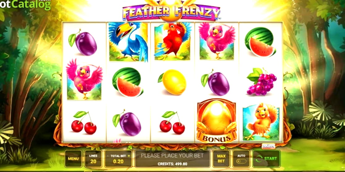 €855 Casino Tournament at Genesis Casino