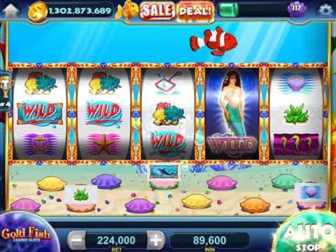830% Match at a Casino at 24 VIP Casino