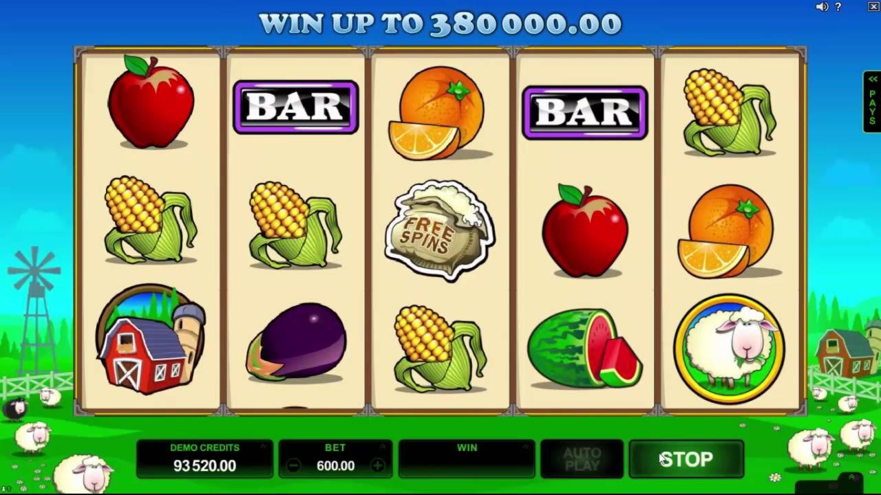 $490 Tournament at Casino Classic