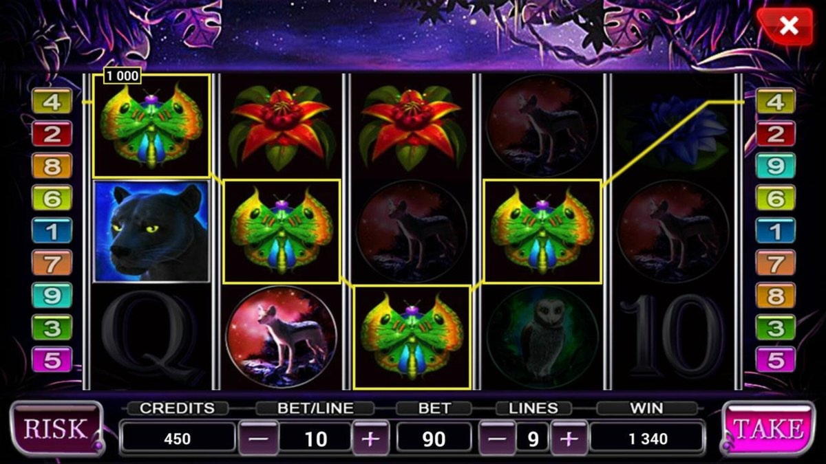 Eur 2840 No deposit bonus code at Wild Slots Casino