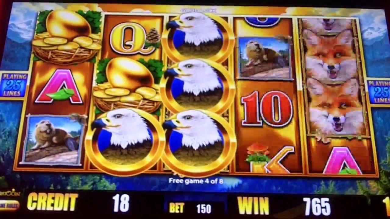 $125 Daily freeroll slot tournament at Trada Casino