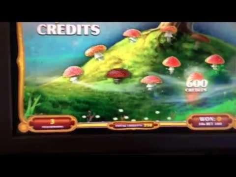 $2735 no deposit at Miamidice Casino