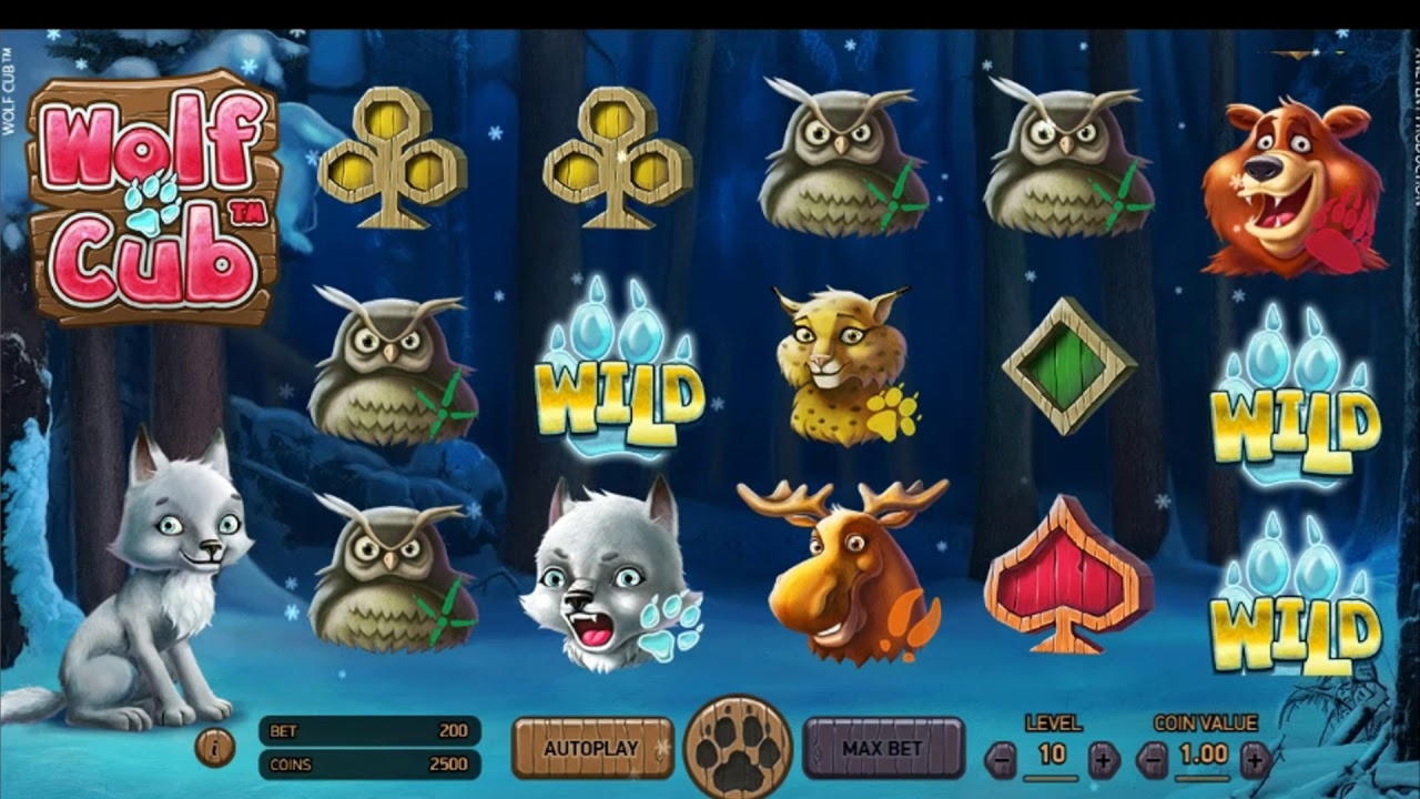 305% Deposit Match Bonus at Yes Casino 