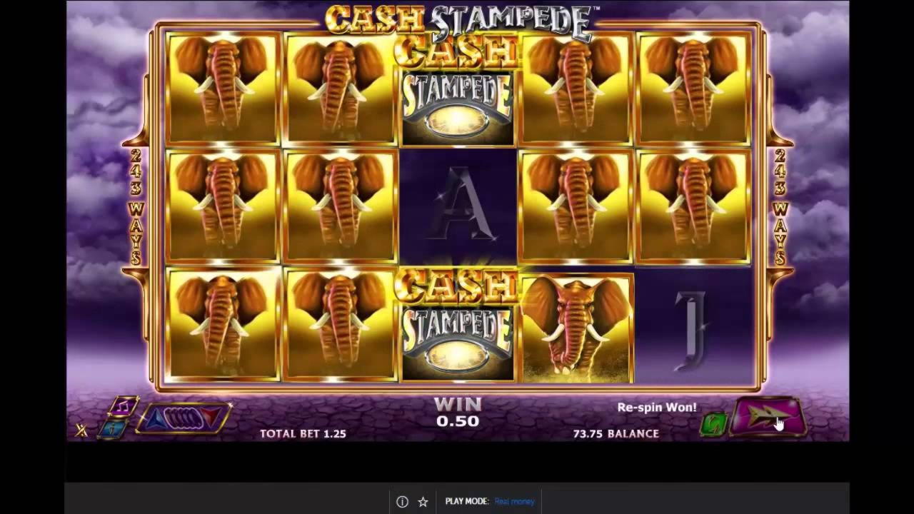 EURO 2235 No Deposit Bonus at Slotty Dubai Casino