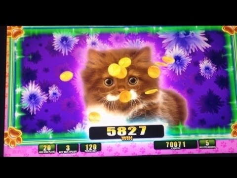 Eur 810 Online Casino Tournament at Casino Luck