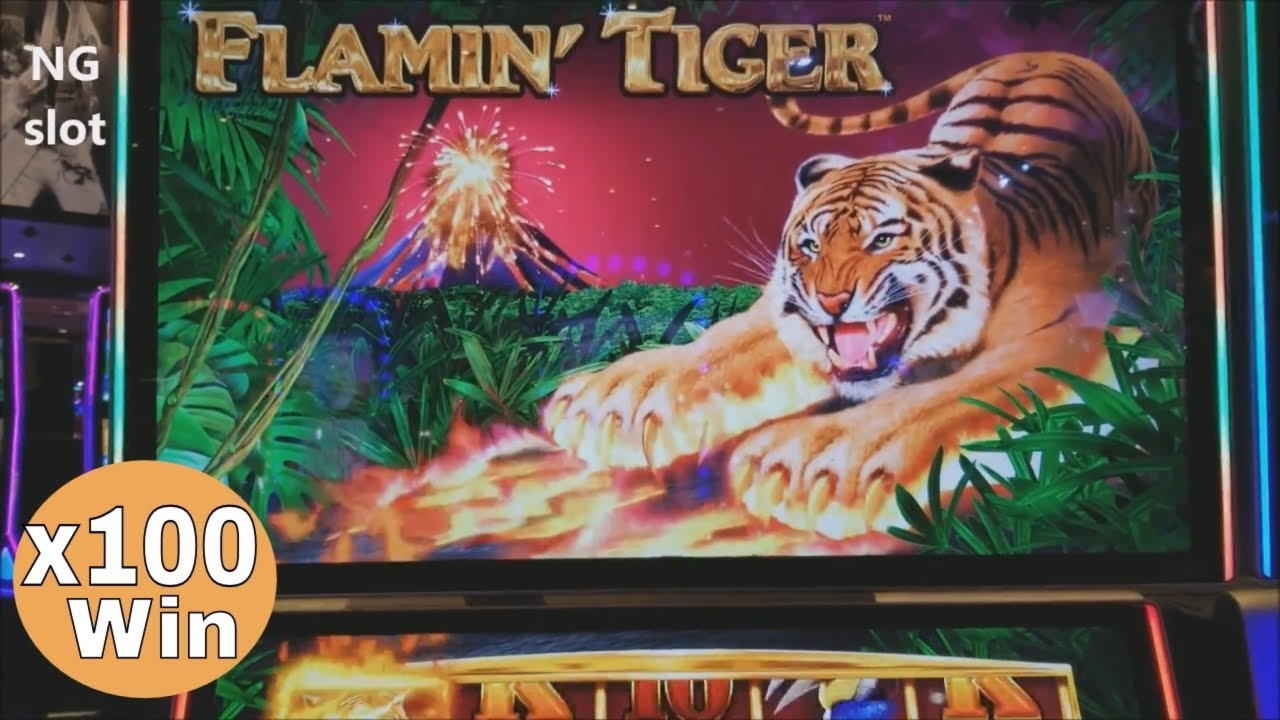 €75 Free Chip Casino at Wild Slots Casino