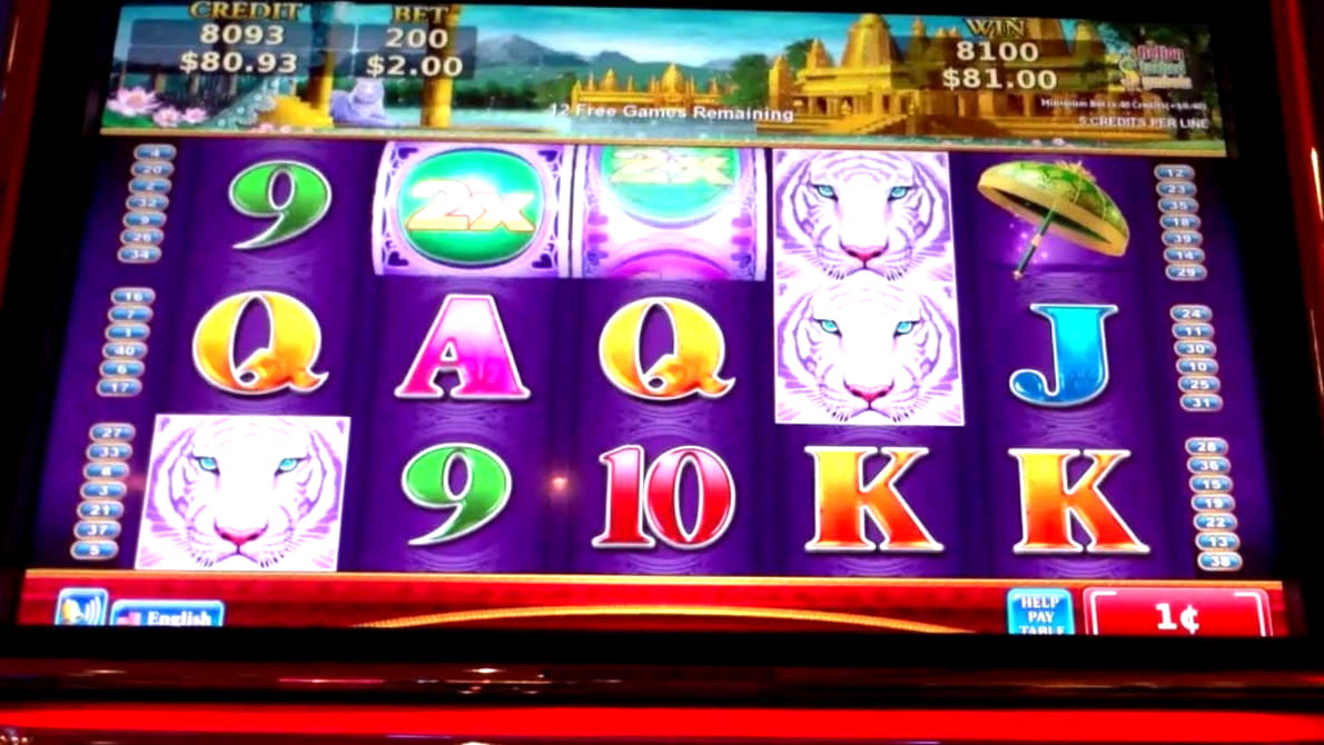 165 Free Spins right now at Canada Casino 