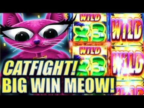 185 Free Spins right now at BranGo Casino