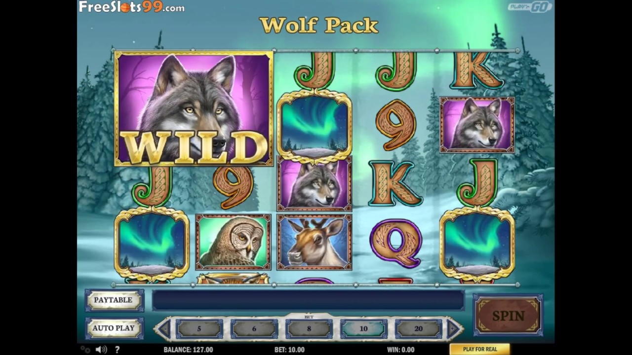 295% Best Signup Bonus Casino at Slotty Dubai Casino