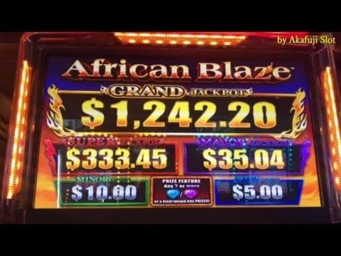 780% No Rules Bonus! at BranGo Casino
