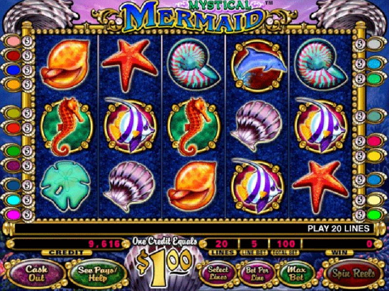 EUR 580 Daily freeroll slot tournament at Miamidice Casino