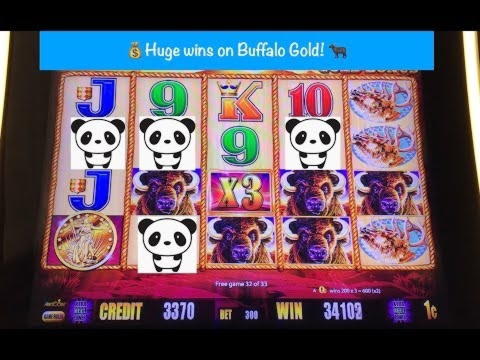 Eur 605 Free Casino Chip at Dafa Bet Casino