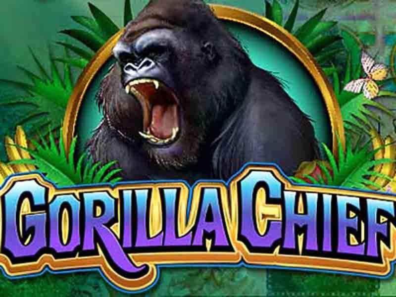 980% First Deposit Bonus at Dafa Bet Casino