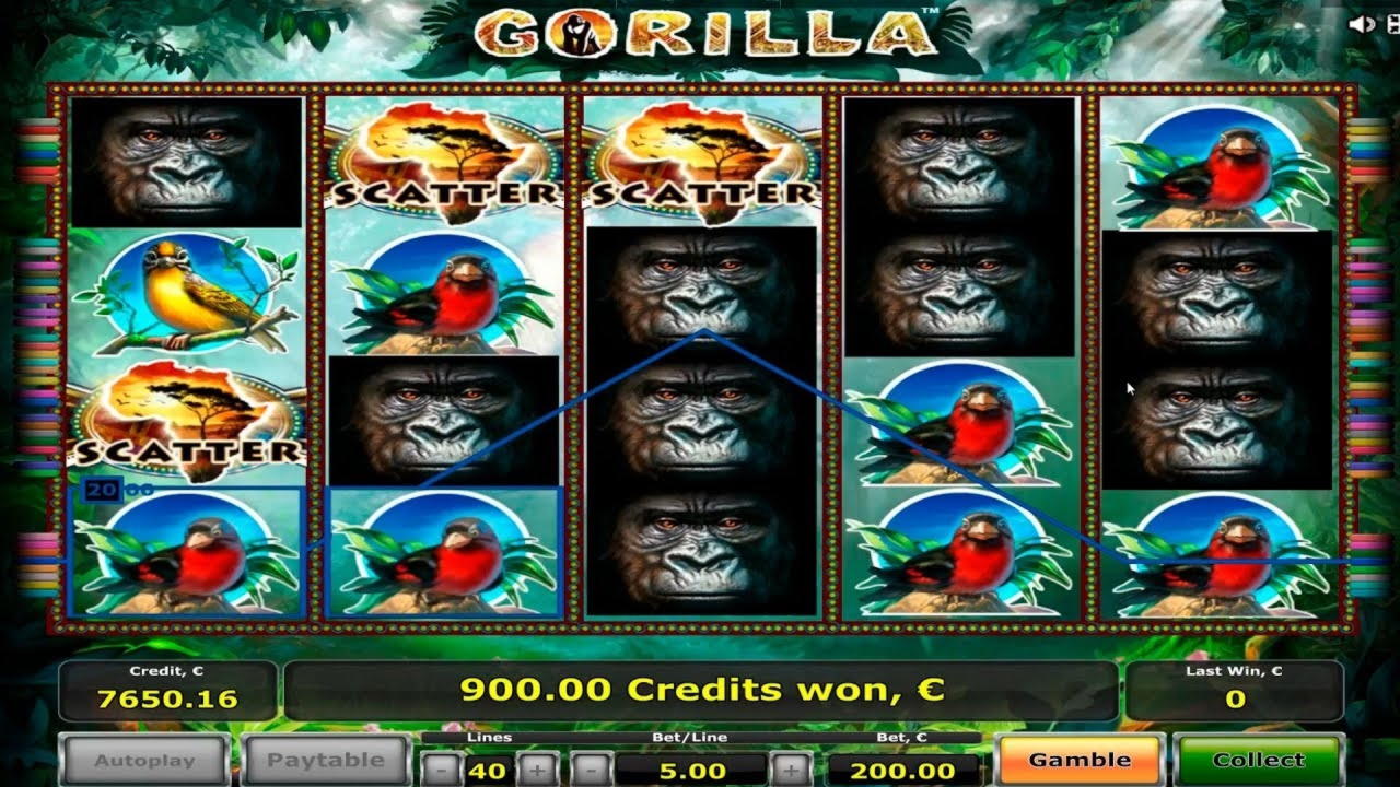EUR 345 Free Chip at Slotty Dubai Casino