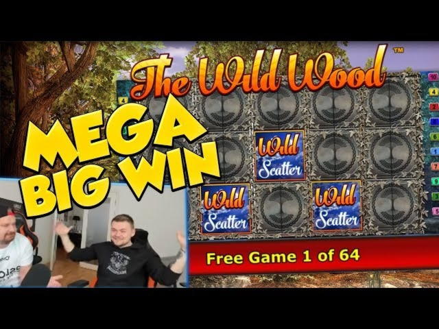 $555 Daily freeroll slot tournament at Casino Action