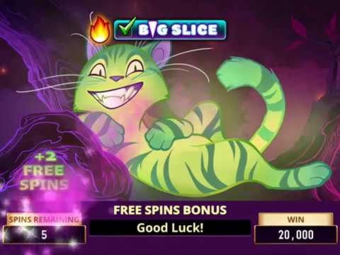 €2685 No Deposit Casino Bonus at Casino Room