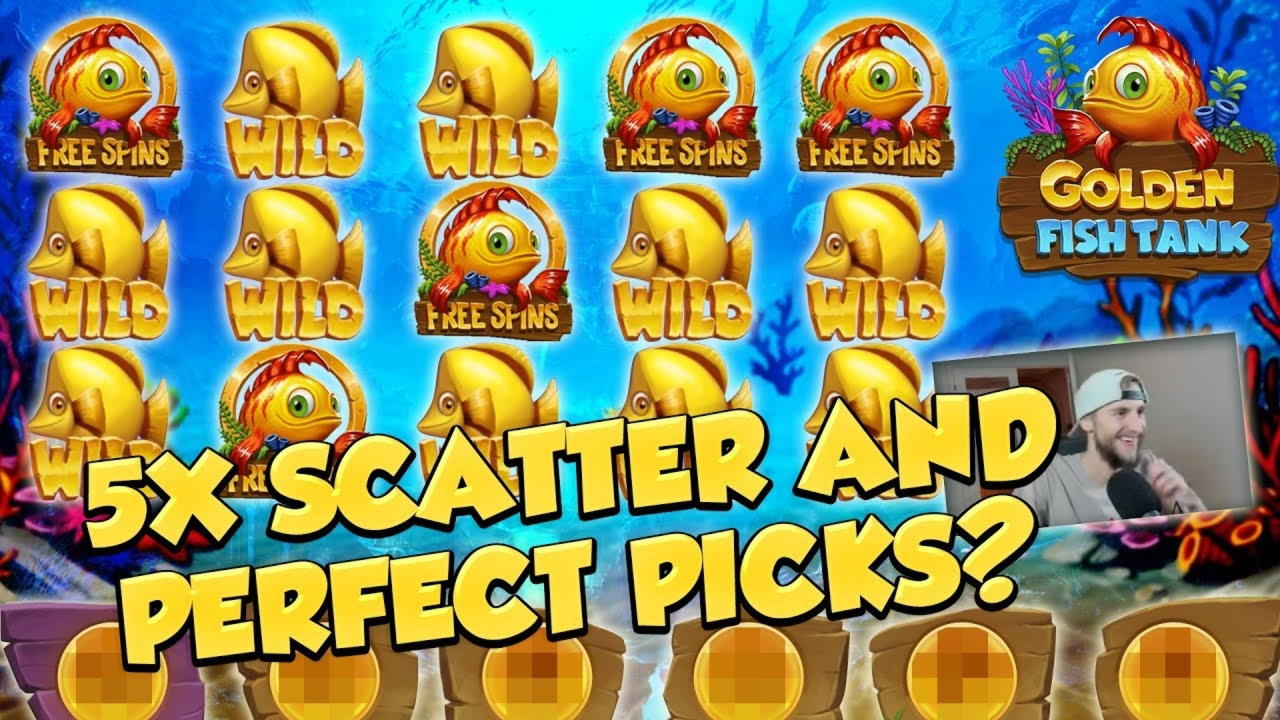 $240 free chip casino at Casino Share