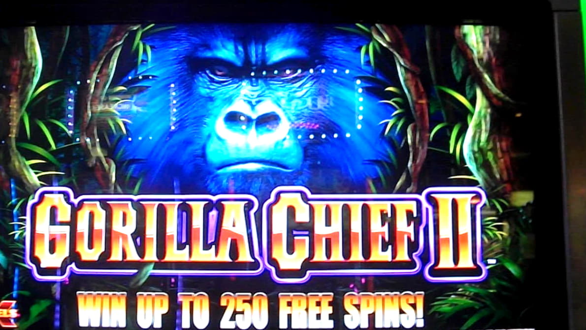 EUR 3695 NO DEPOSIT at Miamidice Casino