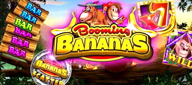 EUR 690 Online Casino Tournament at Casino Action