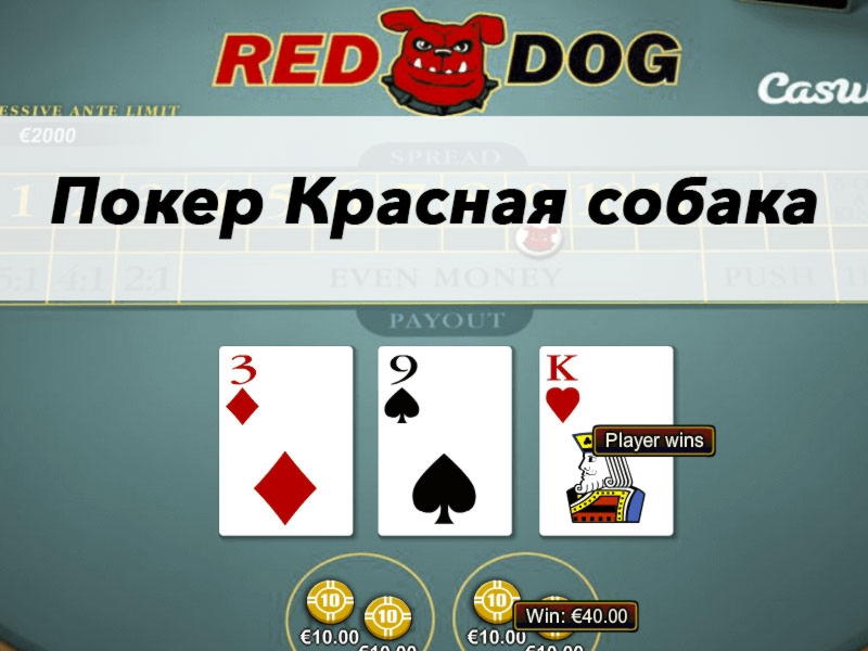 $460 FREE Chip Casino at Kuwait Casino