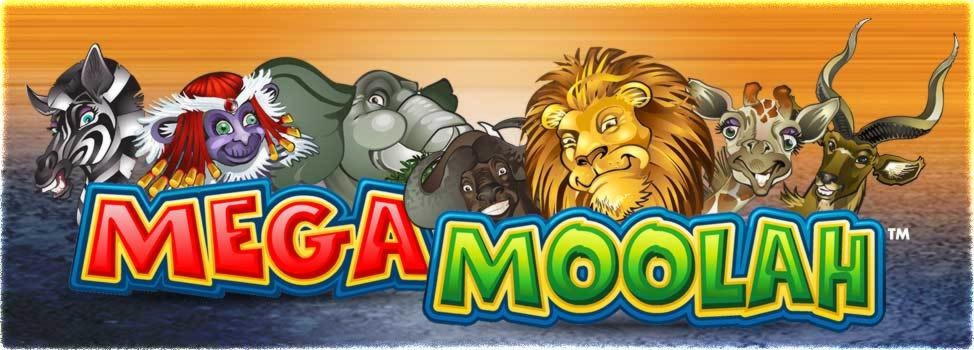 €910 Casino tournaments freeroll at Casino Room