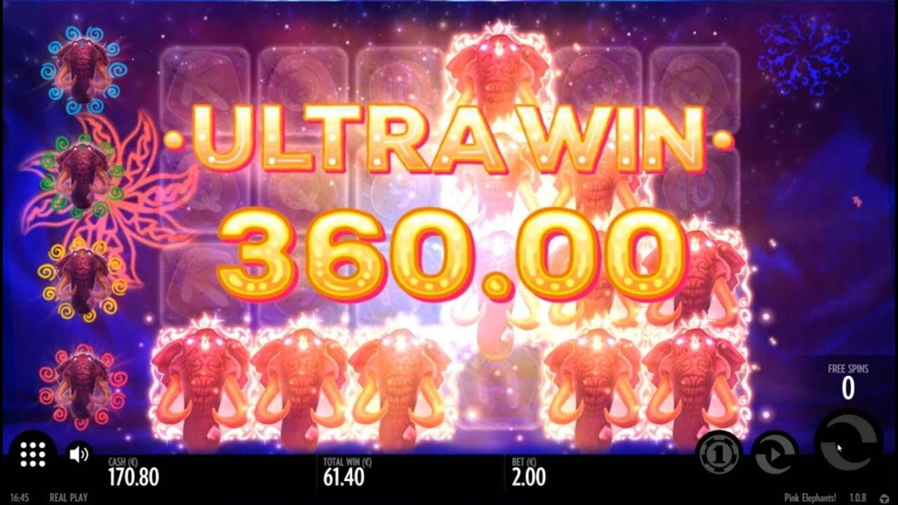 EURO 4815 NO DEPOSIT BONUS CASINO at Miamidice Casino