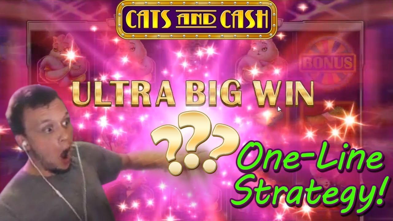 66 Free spins casino at Dafa Bet Casino