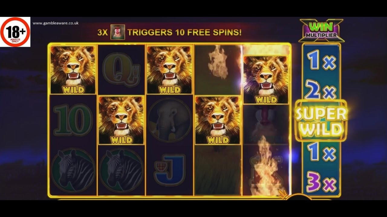 80% Best signup bonus casino at BranGo Casino