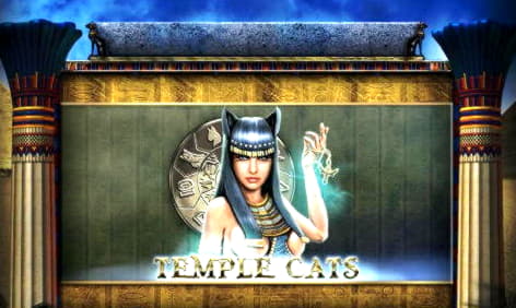 770% First Deposit Bonus at Slotty Dubai Casino