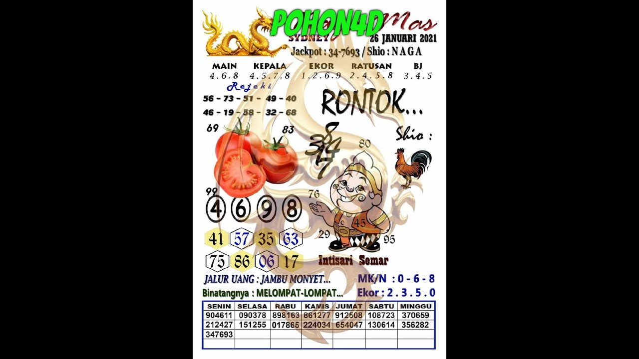 Syair Sydney Hari Ini 26 Tammikuu 2021 | Kode Syair Naga Mas Sydney -Altaat