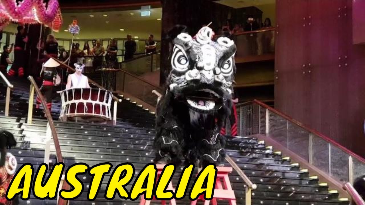 Lion Dance Chinese New Year’s daytime 2020 Melbourne Australia 2020年农历新年澳大利亚舞狮 Múa lân phố Tàu mùng 9 Tết 2020