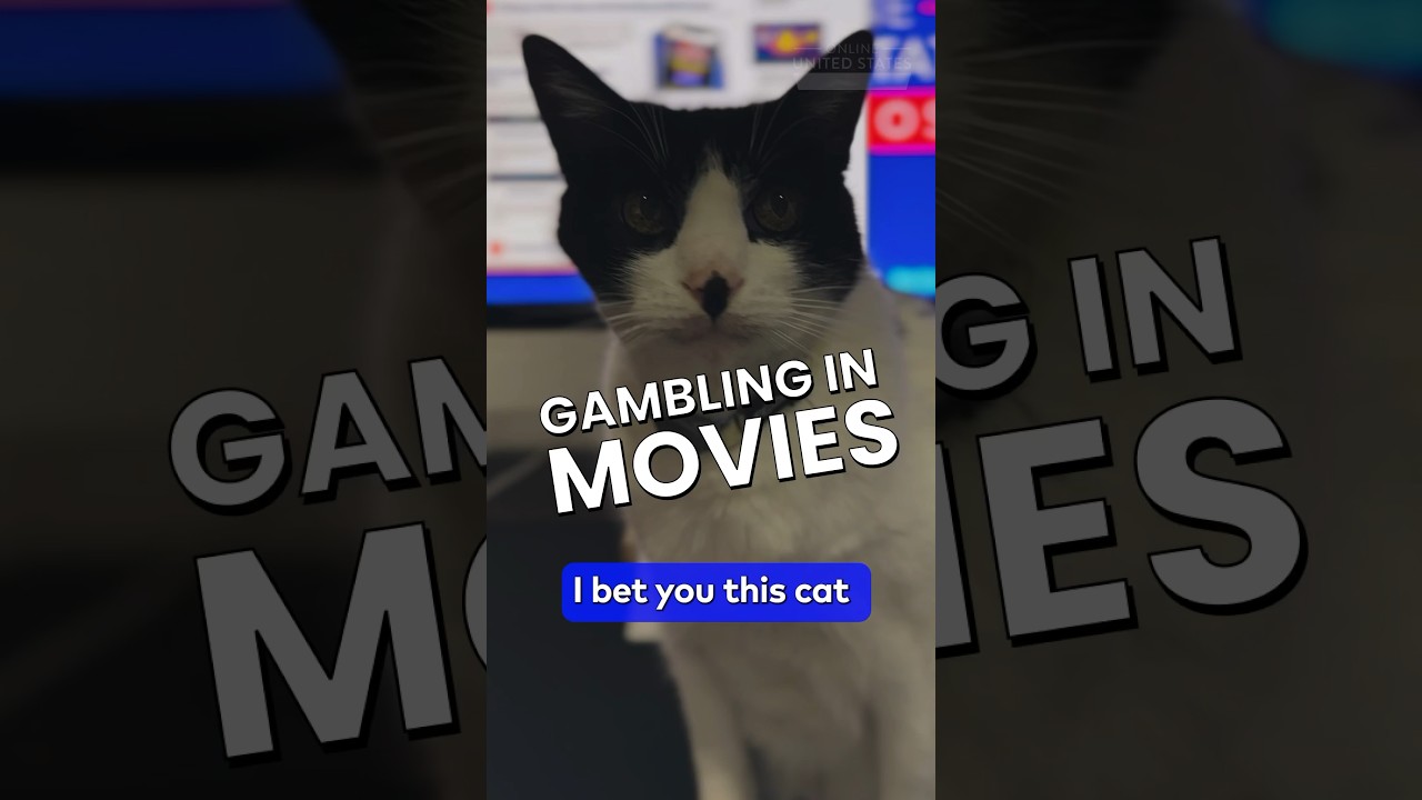 Must-Watch Casino Movies Based on Real Events! #hollywoodcasino
