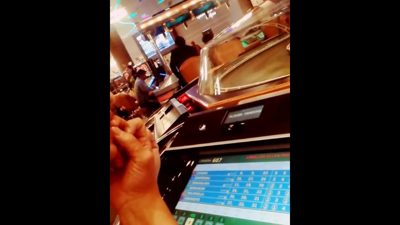 Caballos real casino